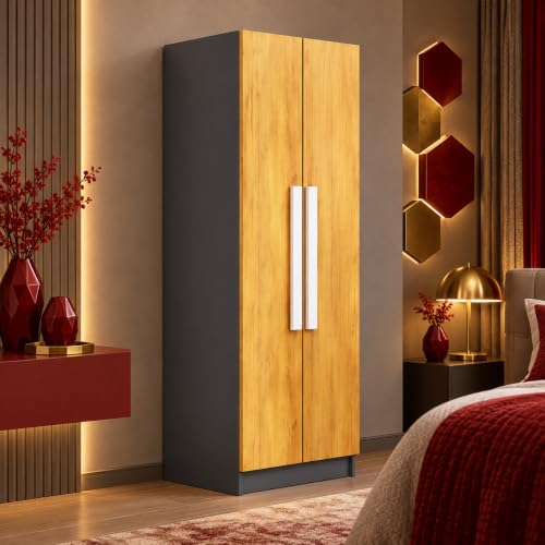 Image of Bniture Wooden Almirah for Clothes, Door for Bedroom, 2 Door Wardrobe with 4 Shelves Huge Storage Space (46D x 60W x 182H CM) | 3 Year Warranty (Slate Grey & Giant Wood)