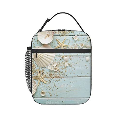 fondo conchas de mar (2) �����`�o�b�O �ۗ�o�b�O ���ٓ� �ۉ� �����`�g�[�g �q���p ���ٓ��� �����Y ���f�B�[�X �G�R�o�b�O �ʋ� �ʊw �s�N�j�b�N ����