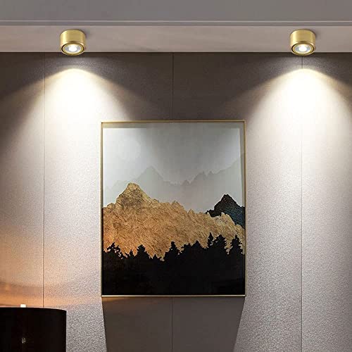 Plafond spotlight surface montée 45° ajustable 6000K downlight blanc - 6