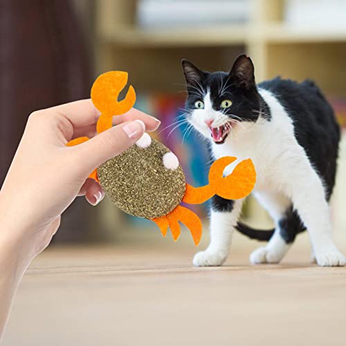 Brinquedo para mastigar gato, Brinquedo para gato forma fofa, Brinquedo gato interativo para gatos i