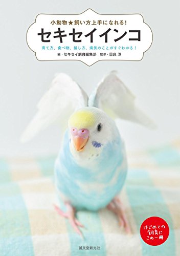 キンドル 無料電子書籍 セキセイインコ: 育て方、食べ物、接し方、病気のことがすぐわかる! (小 バイ