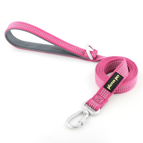 Plutus Pet Heavy Duty Dog Leash with Lockable Aluminum Carabiner, 4 FT Long