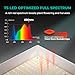 MARS HYDRO TSW2000 Led Grow Light 300 Watt Dimmable Daisy Chain Full Spectrum Growing Lamps for Indoor Plants Seeding Veg Bloom Light for 3x3/4x4ft Coverage