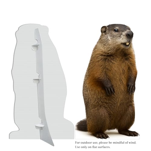 Image of Groundhog 3FT Life Size Cardboard Cutout - A Fun Animal Standup for Photo Booths, Birthday Parties, and Events