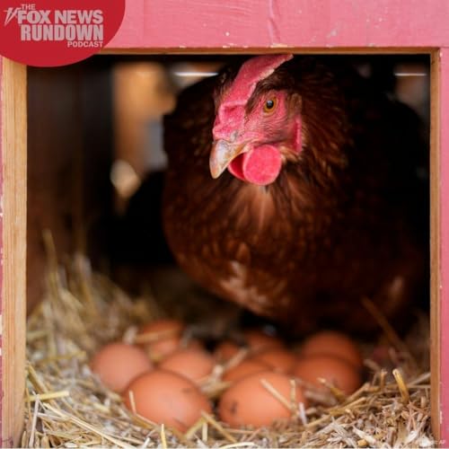 Rethinking America's Farm & Food Industries Podcast Por  arte de portada