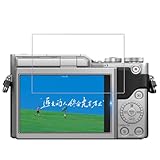 Kepuch 2 Pack Gehärtetes Glas Bildschirmschutz für Panasonic Lumix LX100