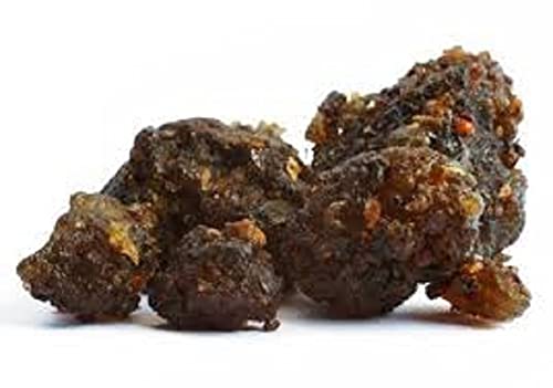 vinarghya - Premium Guggul/Uncha Guggal/Guggulu/Gulgulu/Maishakshi/Guggud / गुग्गुल – 100 g (B09Q2CRPZK) Amazon Price History, Amazon Price Tracker