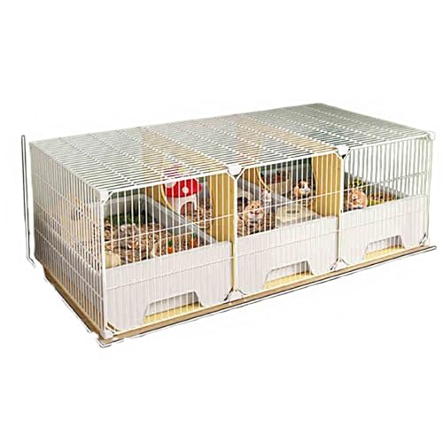 nX^[ P[W ^ LX  \ OJhA ogC  ȒP ti (AN 񂵎  H) Zbg gݗĊȒP nX^[ ^ETM F X  p P[W(3)