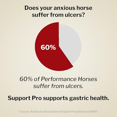 Formula 707 Support Pro Daily Packs for Horses - 28 Day Supply - Calming, Ulcer Support, Hindgut Health, Focus & Stress Relief - Image 5
