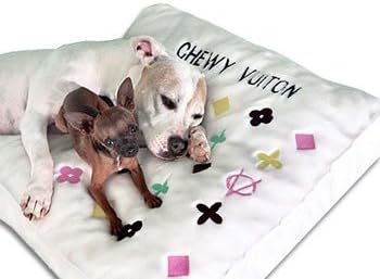 chewy pet beds