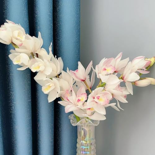 500 pcs Cymbidium Orchidee Pflanze Samen, pflanzen samen indoor, pflanzen winterhart Cymbidium hybridum Samen, pflanztopf blumen geschenk bienenwiese blumensamen, exotische samen blumensamen 500 pcs Cymbidium Orchidee Pflanze Samen, pflanzen samen indoor, pflanzen winterhart Cymbidium hybridum Samen, pflanztopf blumen geschenk bienenwiese blumensamen, exotische samen blumensamen