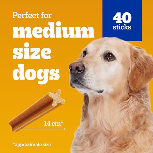 PEDIGREE DENTASTIX Oral Care Beef Flavour Adult Dog Treats - For Medium Breeds - Reduces Plaque and Tartar Buildup - 40 Sticks 972g Pouch - Image 5