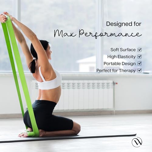 Image of Wiselife Professional Latex Resistance Thera Band - (Set of 3) | 48x4 inch |100% Natural | for Warm-Up, Stretching, Cardio, Strength Training, Home Fitness, Exercise, Gym Workout,& Yoga