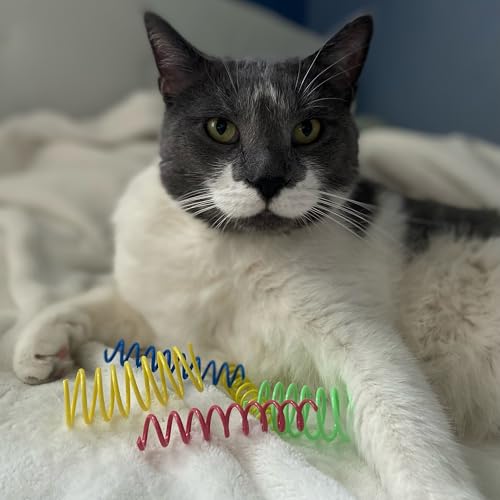 Ethical Wide Colorful Springs Cat Toy - Image 3