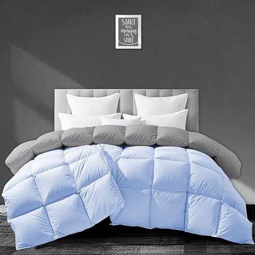 Image of Luxurious 500 GSM Winter Comforter Double Bed Size (90 inchX100 inch) - Premium Collection Heavy Winter Comforter 500 GSM Microfiber Fill - Duvet /Blanket Double Bed - Sky Blue /Silver Grey Color