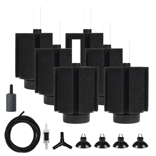 ALEGI ANAE 60K X|WtB^[ GAXg[tAX|WtB^[ 75K tCxb^Gr̎p(6)