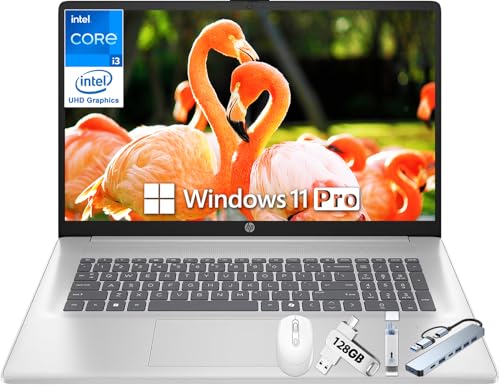 HP 17C`m[gp\R 17.3C` FHD IPS fBXvCA32GB DDR4 RAMA1TB SSDAIntel 8RA i3-N305vZbTAIntel UHD GraphicsAWindows 11 ProAA`OAAeL