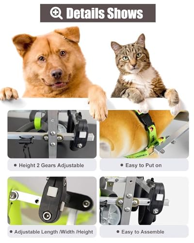 Chariot de mobilité pour chiens et chats pour revivre ensemble