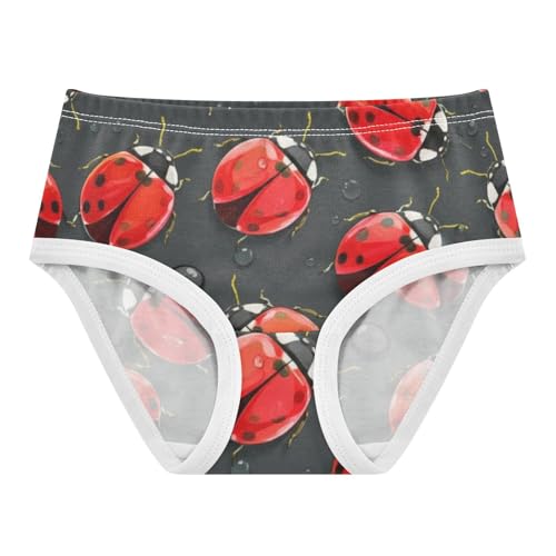 Fancy Girls Underwear Toddler 2t Cotton Panties Little Girl Red Ladybugs Black Spots Black Underpants Briefs