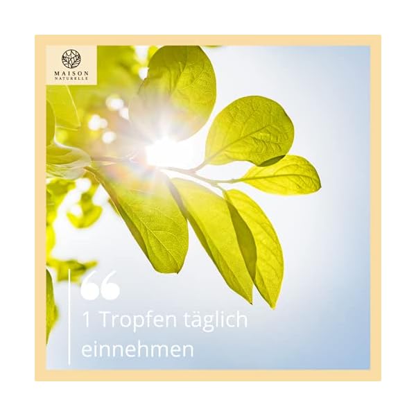 MAISON NATURELLE® D3+K2 Tropfen Vegan (1020 Stück) – Vitamin D3 K2 – Vitamin D3 Vitamin K2 hochdosiert D3 K2 Tropfen… – Bild 7