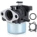 Savior Carburetor with Gasket for Briggs & Stratton 799871 799866 790845 796707 794304