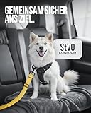 ZAUBERPFOTE Hundegurt 'Argo‘ fürs Auto – Verstellbarer Sicherheitsgurt mit Rückdämpfung & ISOFIX Anschluss – Anschnallgurt für alle Hunderassen (Gelb, Gr. S)