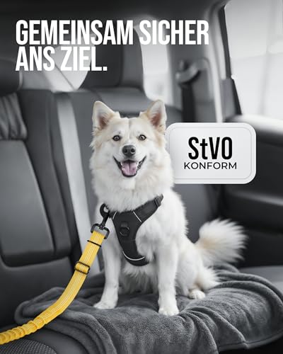 ZAUBERPFOTE Hundegurt 'Argo‘ fürs Auto – Verstellbarer Sicherheitsgurt mit Rückdämpfung & ISOFIX Anschluss – Anschnallgurt für alle Hunderassen (Gelb, Gr. S)