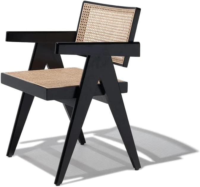 FURNEEZY Rattan UPHOSTERY ARM Chair for Living Room and Office (Black)