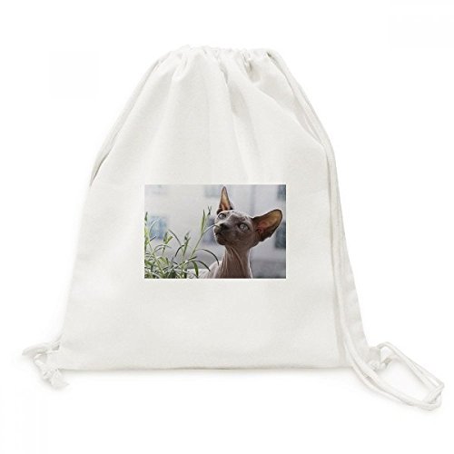 Sac cordon en toile imprimé chat gris sac à dos de voyage léger pour le sport