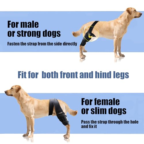Image of Dog Knee Brace for ACL with Side Stabilizers,Splint Hinged Adjustable Support Brace for Knee Cap Dislocation, Arthritis Keeps Joint,Hip Brace of Different Sizes for Cruciate Ligament Injuries(S)