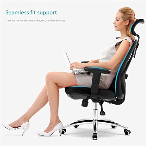 Xzgden Lightweight Office Chair,Ergonomic Swivel Office Desk Chair Computer Chairs Gaming Chair Reclining High Back Height Adjustable Kneeling Chair #TOP1