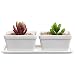 Small Modern 2 Piece White Ceramic Windowsill Flower Box w/ Removable Tray / Succulent Planter Pot