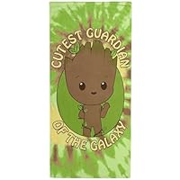 Jay Franco Kids Cotton Bath/Pool/Beach Towels