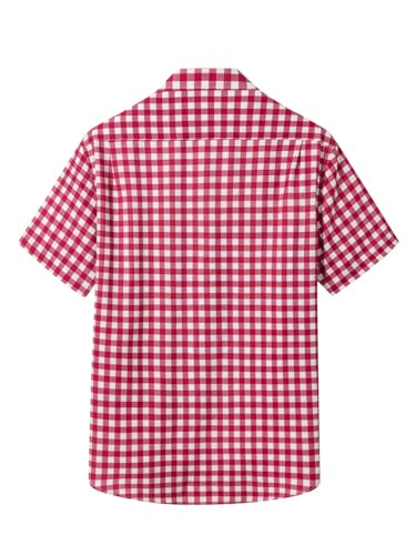 Men's Gingham Shirts Plaid Button Down Short Sleeve Casual T Shirt Tops2