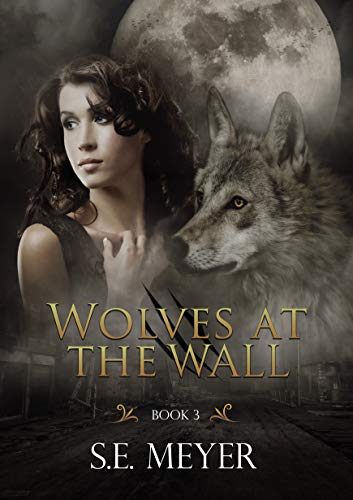 Wolves At The Wall: Dystopian Post Apocalyptic Thriller Series (Anna Wool Book 3)