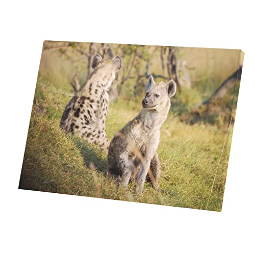 Tableau hyènes mignonnes savane toile imprimée 56x40cm pour déco moderne