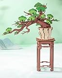 ROBOTIME 立体パズル 3d 木製 パズル 常緑松盆栽 組立 DIY クラフト 植物コレクション 建築モデル 和風インテリア 組み立て 工作キット 暇つぶし 初心者向け 中学生 大人向け 知育玩具 おもちゃ お祝い 誕生日 ギフト-TG510