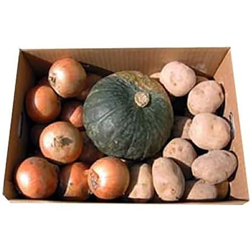   Ⴊ [NC ʂ˂ ڂ ؋lߍ킹 v9kg [NC ܂˂ J{` kC ؃Zbg