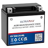 ULTRAMAX YTX14 BS/TTX14 BS 12v 12ah Batterie AGM de moto