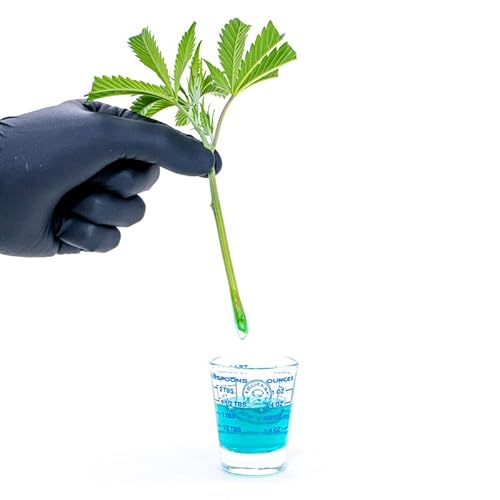 Athena Cuts (7 Oz) #TOP4