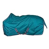  Free-Dom Turnout Light, 125, Green/Violet