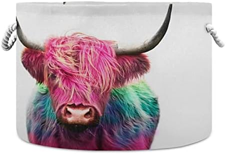 xigua Large Basket for Toys Highland Cow Colorful Dyed Hair Storage Bin Box Kids Laundry Hamper Collapsible Fabric Organizer Bin for Nursery Clothes, Toys, Books, Home Decor