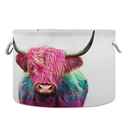 Xigua Large Basket For Toys Highland Cow Colorful Dyed Hair Storage Bin Box Kids Laundry Hamper Collapsible Fabric Organizer Bin For Nursery Clothes, Toys, Books, Home Decor #TOP28