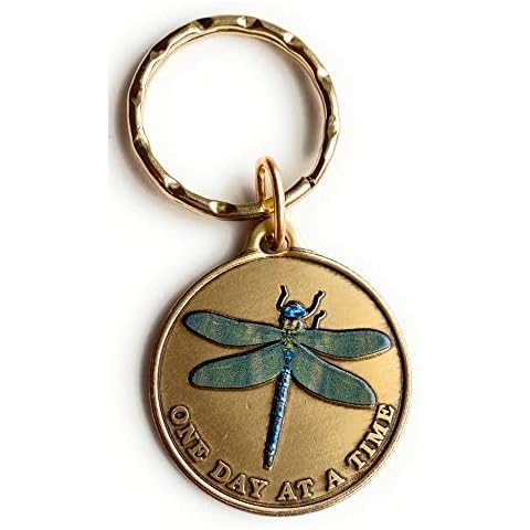 RecoveryChip Green Color Dragonfly One Day At A Time Keychain Serenity Prayer In Bronze Cover