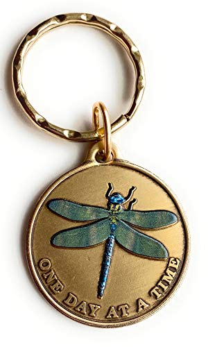 RecoveryChip Green Color Dragonfly One Day At A Time Keychain Serenity Prayer In Bronze