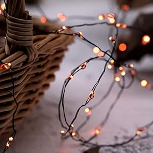 MENGNAN Halloween Orange Fairy Sting Lights 10ft 60LEDs Fall Lights Battery Operated with Timer for Thanksgiving Harvest Halloween Christmas Birthday Gift Autumn Indoor Fall Decorations for Home