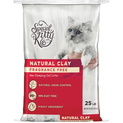 Special Kitty Premium Care Natural Clay Cat Litter, 25 lb, Fragrance Free, 99% Dust-Free, Superior Odor Control