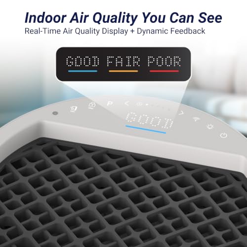 Image of WINIX AT40 Air Purifier with 2 Years of Filters for Extra Large Room Up to 1968 Ft in 1 Hr With Air Quality Monitor, True HEPA, Carbon Filter and Auto Mode, Captures Dander, Smoke, Dust