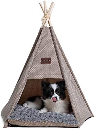 amazon pet tent