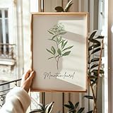 Pennsylvania Mountain Laurel State Flower Line Art Minimalistic Flower Line Art Flower Line Drawing Flower Print Botanical